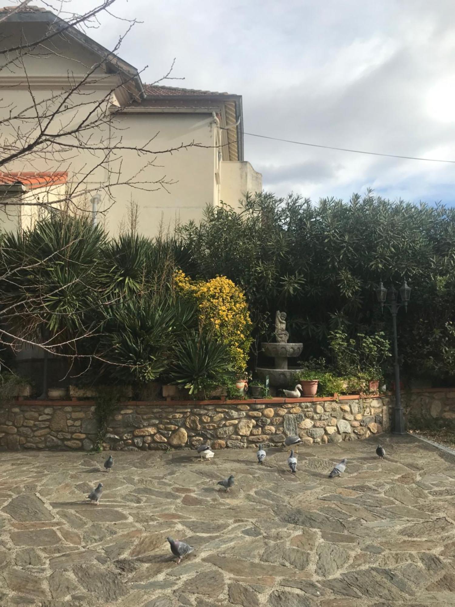 Hebergements A La Rive, Accueil Ouvert Tous Les Jours Jusqu'A 20H00 Dernier Delai, Depuis 30 Ans ! Reserver Ici Svp ! Merci ! Aucun Reglement A Distance Accepte, Paiement Par Cb, Especes, Cheque Ou Cheques-Vacances Imperativement A La Remise Des Clef Amélie-les-Bains-Palalda Exterior foto